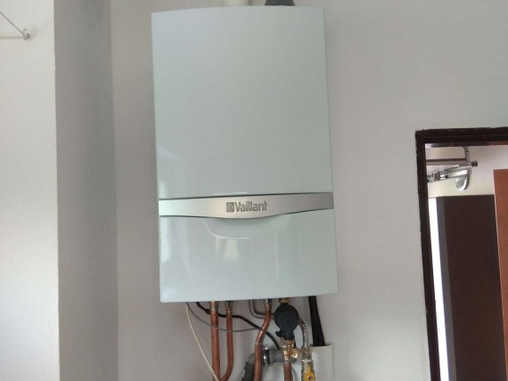 Vaillant, Bystrovany